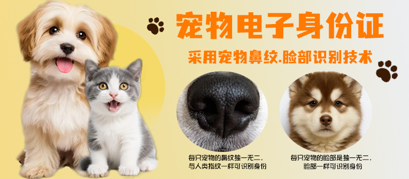 ​宠物鼻纹：藏在鼻尖的&ldquo;专属身份证&rdquo;